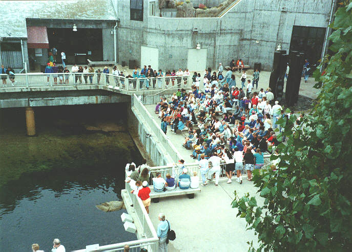 Monterey Bay Aquarium - 1