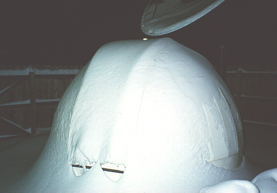 Picture of snow covered dome