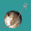 Planetary image logo